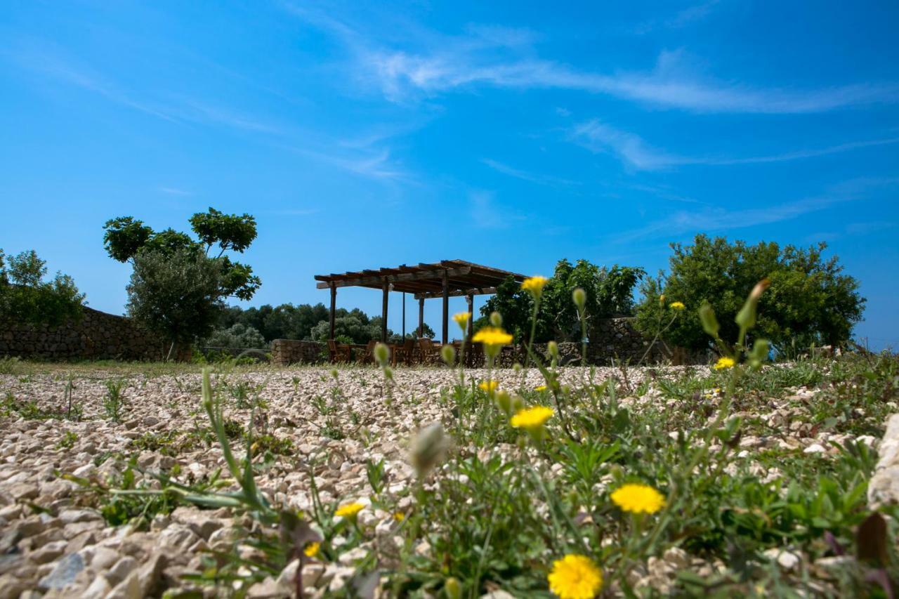 Antica Masseria Ficazzana - Tenuta Marina Di Pescoluse Luaran gambar