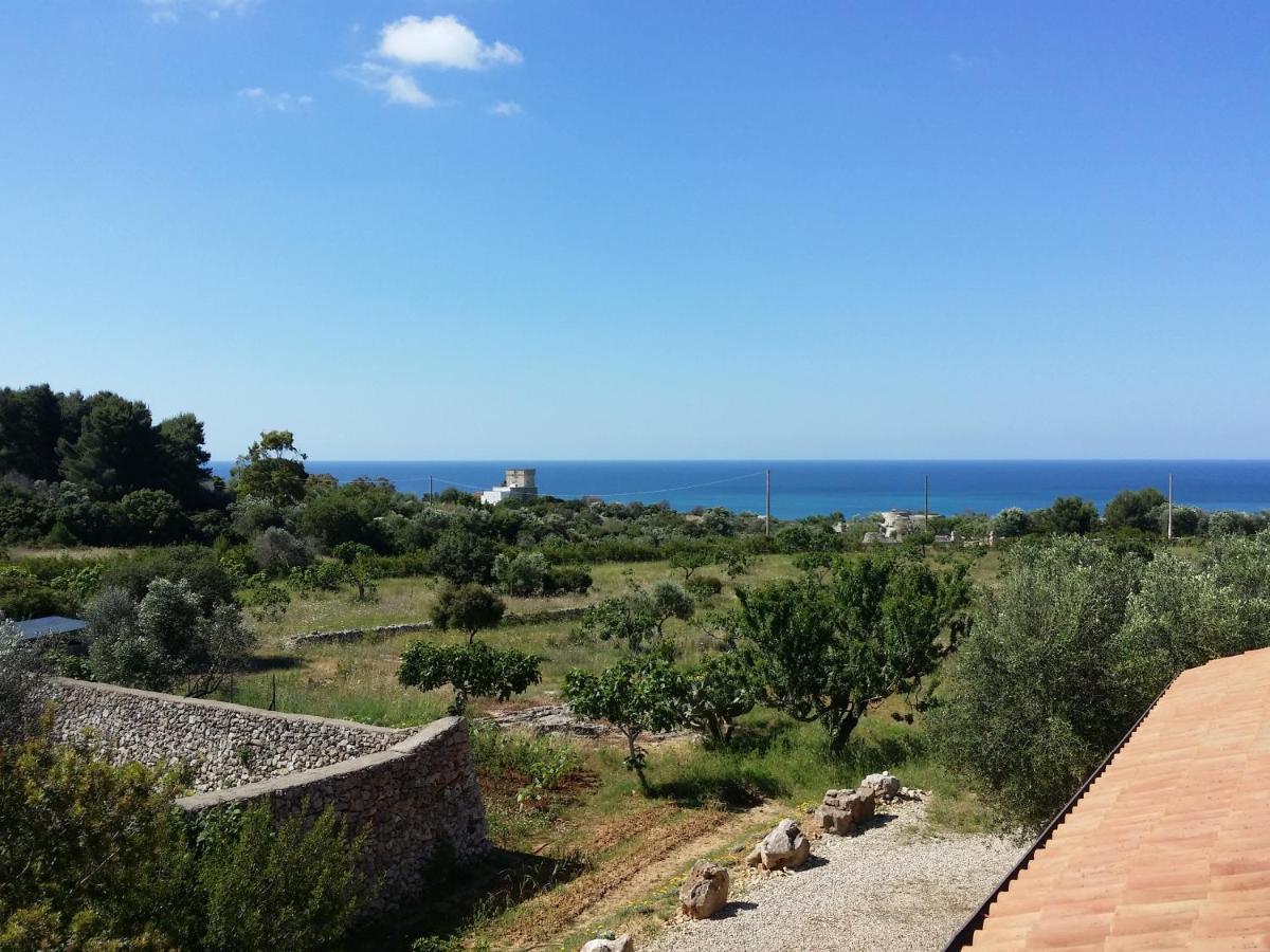 Antica Masseria Ficazzana - Tenuta Marina Di Pescoluse Luaran gambar